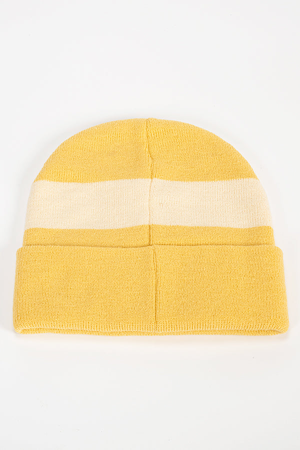 Borderlands Claptrap Beanie