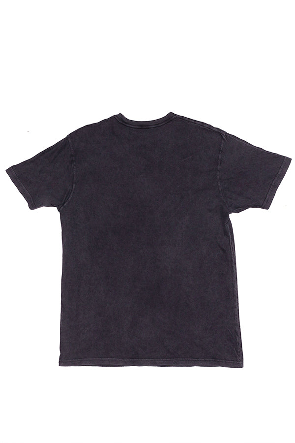 Borderlands Vault Icon Premium Tee